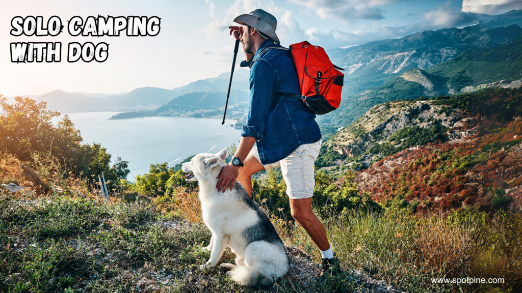 Solo camping with dog
