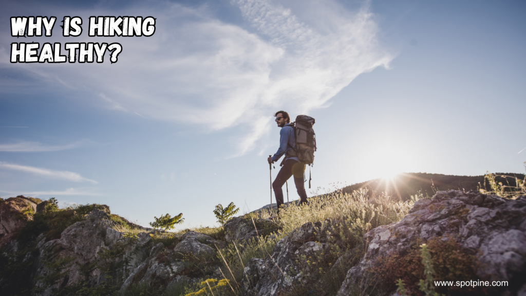 why is hiking healthy?