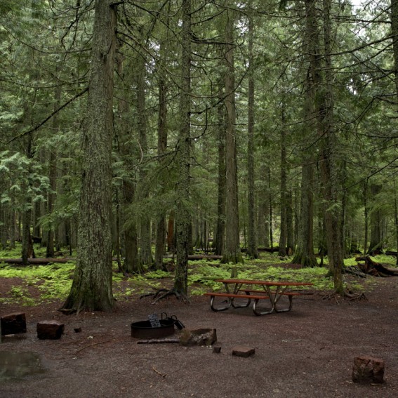 Cataloochee Campground